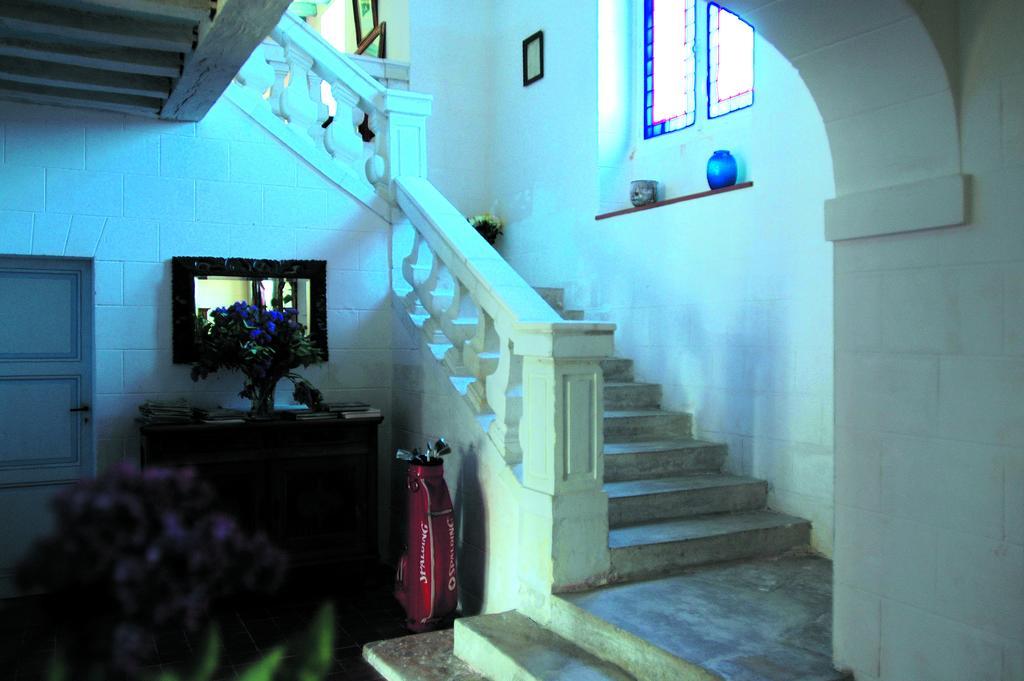 Chateau De La Noblaye Bed and Breakfast Lemere Exteriör bild