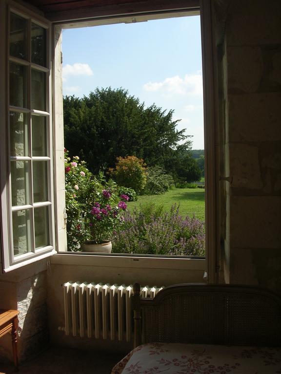 Chateau De La Noblaye Bed and Breakfast Lemere Exteriör bild
