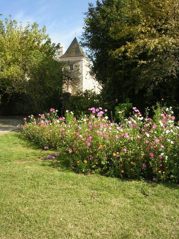 Chateau De La Noblaye Bed and Breakfast Lemere Exteriör bild